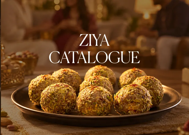 Ziya 2026 catalogue cover
